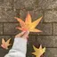 ななのプロフィール画像