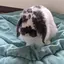 りのプロフィール画像