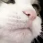 ゅんのプロフィール画像