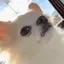 Fumiのプロフィール画像