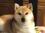 めーみのプロフィール画像