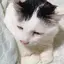 佐藤のプロフィール画像
