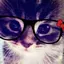 kasaのプロフィール画像