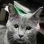 タンザワのプロフィール画像