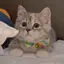meiのプロフィール画像