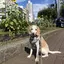 由梨のプロフィール画像