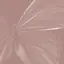 hのプロフィール画像