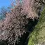 恵のプロフィール画像