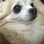 真理子のプロフィール画像