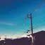 mnのプロフィール画像