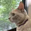 caperのプロフィール画像