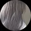 ちこりのプロフィール画像