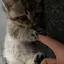 ひかさんのプロフィール画像