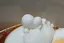 MDR.Yのプロフィール画像