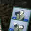 yulieのプロフィール画像