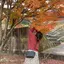ゆっきのプロフィール画像