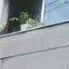 Shinoのプロフィール画像