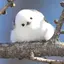 優奈のプロフィール画像