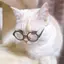 nekomanmaのプロフィール画像