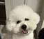 美音のプロフィール画像