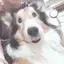 香名のプロフィール画像