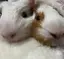 h♡のプロフィール画像