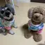 パソのプロフィール画像