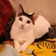 Mewのプロフィール画像