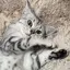 YUMIのプロフィール画像
