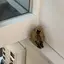 さのプロフィール画像