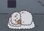 サキのプロフィール画像