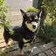 なおのプロフィール画像