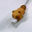 たぬきのプロフィール画像