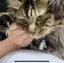 むたのプロフィール画像