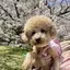 rrのプロフィール画像