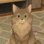 ゆみのプロフィール画像