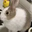 ❤︎のプロフィール画像