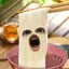 くのプロフィール画像