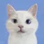 みのプロフィール画像