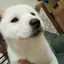 でっぱりんのプロフィール画像