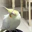 由香のプロフィール画像