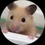ダイスケのプロフィール画像