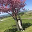 anのプロフィール画像