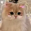 aのプロフィール画像