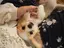 Mikityのプロフィール画像