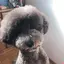 みみのプロフィール画像