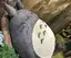 てやのプロフィール画像