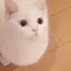 masuyaのプロフィール画像
