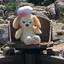 まるのプロフィール画像