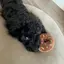 りーのプロフィール画像